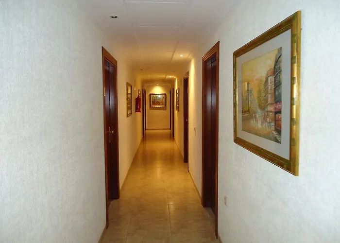 Affittacamere Santo Domingo El Ejido